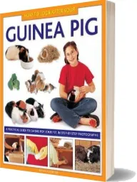 How to Look After Your Guinea pig download free [PDF and Ebook] by David Alderton year 2013
