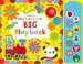 PDF Baby'S Very First big Playbook by Fiona Watt