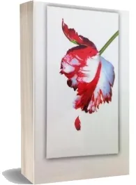 Twilight Saga 5 Book set (White Cover) download free [PDF and Ebook] by Stephenie Meyer year 2013