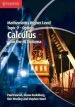 PDF Ib Diploma: Mathematics Higher Level for the ib Diploma Option Topic 9 Calculus by Paul Fannon