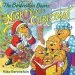 PDF The Berenstain Bears' Night Before Christmas by Mike Berenstain