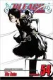 PDF Bleach, Vol. 54 by Tite Kubo
