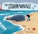 PDF The Storm Whale by Benji Davies