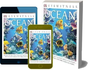 Dk Eyewitness Books: Ocean: Discover What Lies Beneath the Watery Surface of our Planet From its Sunlit Shal download free [PDF and Ebook] by Miranda Macquitty year 2014
