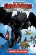 PDF Dreamworks' Dragons: Dangers of the Deep (How to Train Your Dragon tv) Volume 2 by Simon Furman