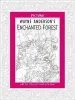 PDF Pictura: Enchanted Forest by Wayne Anderson