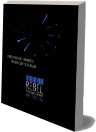 Rebel download free [PDF and Ebook] by Amy Tintera year 2014