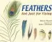 PDF Feathers by Melissa Stewart