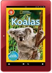 National Geographic Kids Readers: Koalas download free [PDF and Ebook] by Laura Marsh year 2014