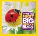 PDF Little Kids First big Book of Bugs by Catherine D. Hughes
