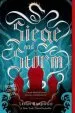 PDF Siege and Storm by Leigh Bardugo