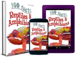 Reptiles & Amphibians download free [PDF and Ebook] by Belinda Gallagher year 2015