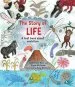 PDF The Story of Life: A First Book About Evolution by Catherine Barr