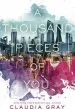 PDF A Thousand Pieces of you by Claudia Gray