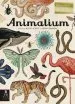 PDF Animalium: Welcome to the Museum by Jenny Broom