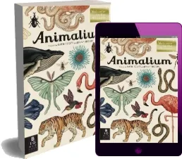 Animalium: Welcome to the Museum download free [PDF and Ebook] by Jenny Broom year 2015