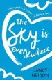 PDF The sky is Everywhere by Jandy Nelson