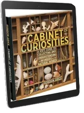 Cabinet of Curiosities: Collecting and Understanding the Wonders of the Natural World download free [PDF and Ebook] by Gordon Grice year 2015