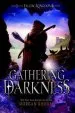 PDF Gathering Darkness by Nikki Loftin