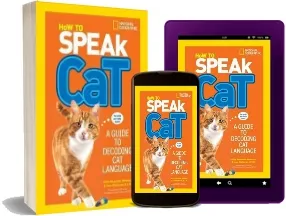 How to Speak cat: A Guide to Decoding cat Language download free [PDF and Ebook] by Aline Alexander Newman year 2015