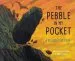 PDF The Pebble in my Pocket: A History of our Earth by Meredith Hooper