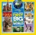 PDF Little Kids First big Book of the World by Elizabeth Carney