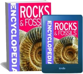Mini Encyclopedia - Rocks & Fossils download free [PDF and Ebook] by Miles Kelly year 2015
