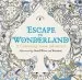 PDF Escape to Wonderland: A Colouring Book Adventure by Good Wives And Warriors