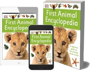 First Animal Encyclopedia download free [PDF and Ebook] by Dk year 2015