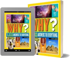 Why? Over 1,111 Answers to Everything: Over 1,111 Answers to Everything download free [PDF and Ebook] by Crispin Boyer year 2015