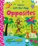 PDF Lift-The-Flap Opposites by Felicity Brooks