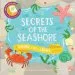 PDF Secrets of the Seashore: A Shine-A-Light Book by Carron Brown