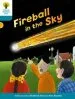 PDF Oxford Reading Tree Biff, Chip and Kipper Stories Decode and Develop: Level 9: Fireball in the sky by Roderick Hunt