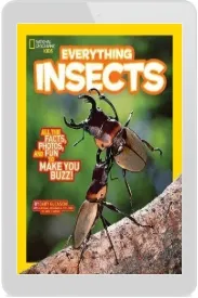 Everything Insects: All the Facts, Photos, and fun to Make you Buzz download free [PDF and Ebook] by Carrie Gleason year 2015