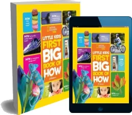 Little Kids First big Book of how download free [PDF and Ebook] by Jill Esbaum year 2016