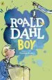 PDF Boy: Tales of Childhood by Roald Dahl
