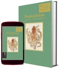 Animalium (Mini Gift Edition) download free [PDF and Ebook] by Jenny Broom year 2016