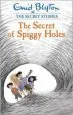 PDF Secret Stories: The Secret of Spiggy Holes by Enid Blyton
