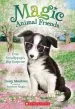 PDF Evie Scruffypup'S big Surprise (Magic Animal Friends #10) by Daisy Meadows