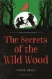 PDF The Secrets of the Wild Wood by Tonke Dragt