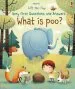 PDF Lift-The-Flap Very First Questions & Answers: What is poo? by Katie Daynes