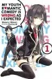 PDF My Youth Romantic Comedy is Wrong, as i Expected, Vol. 1 (Light Novel) by Wataru Watari