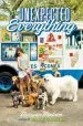 PDF The Unexpected Everything by Morgan Matson