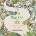 PDF Escape to oz: A Colouring Book Adventure by Puffin
