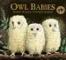 PDF Owl Babies by Martin Waddell