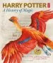PDF Harry Potter - a History of Magic: The Book of the Exhibition by British Library