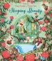 PDF Peep Inside a Fairy Tale Sleeping Beauty by Anna Milbourne