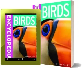100 Facts - Birds download free [PDF and Ebook] by Miles Kelly year 2017