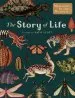 PDF The Story of Life: Evolution (Extended Edition) by Ruth Symons