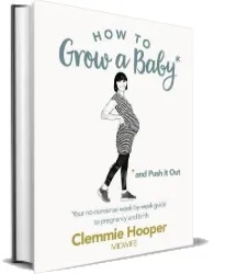 How to Grow a Baby and Push it out: Your No-Nonsense Guide to Pregnancy and Birth download free [PDF and Ebook] by Clemmie Hooper year 2017